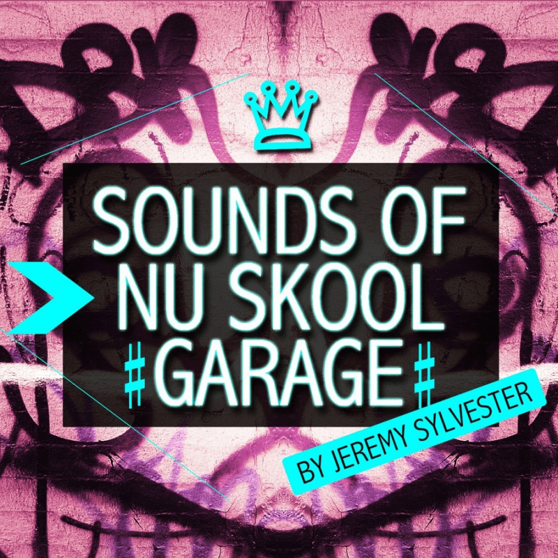 Garage samples. Sound of the nu Skool 1999. Nu Skool для ферлендакустик.