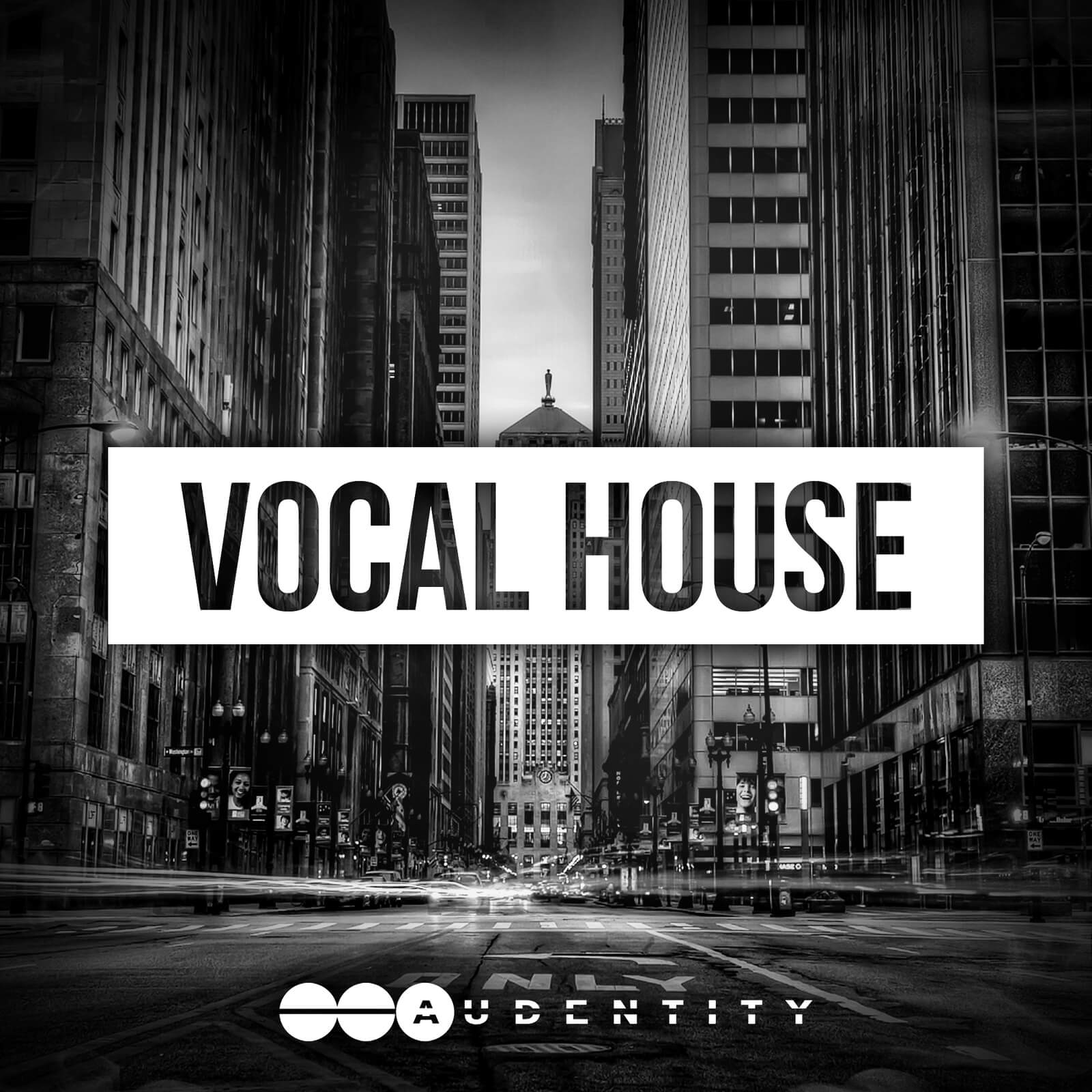 Vocal house. Вокал Хаус. G House сэмплы. Французский Vocal House. Audentity records Bass House Vol.2.