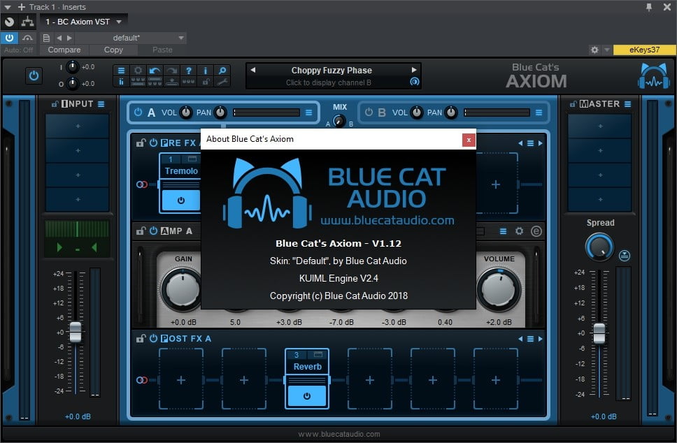 Blue Cat Audio 2023.9 instal